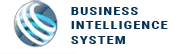 BI-Systems
